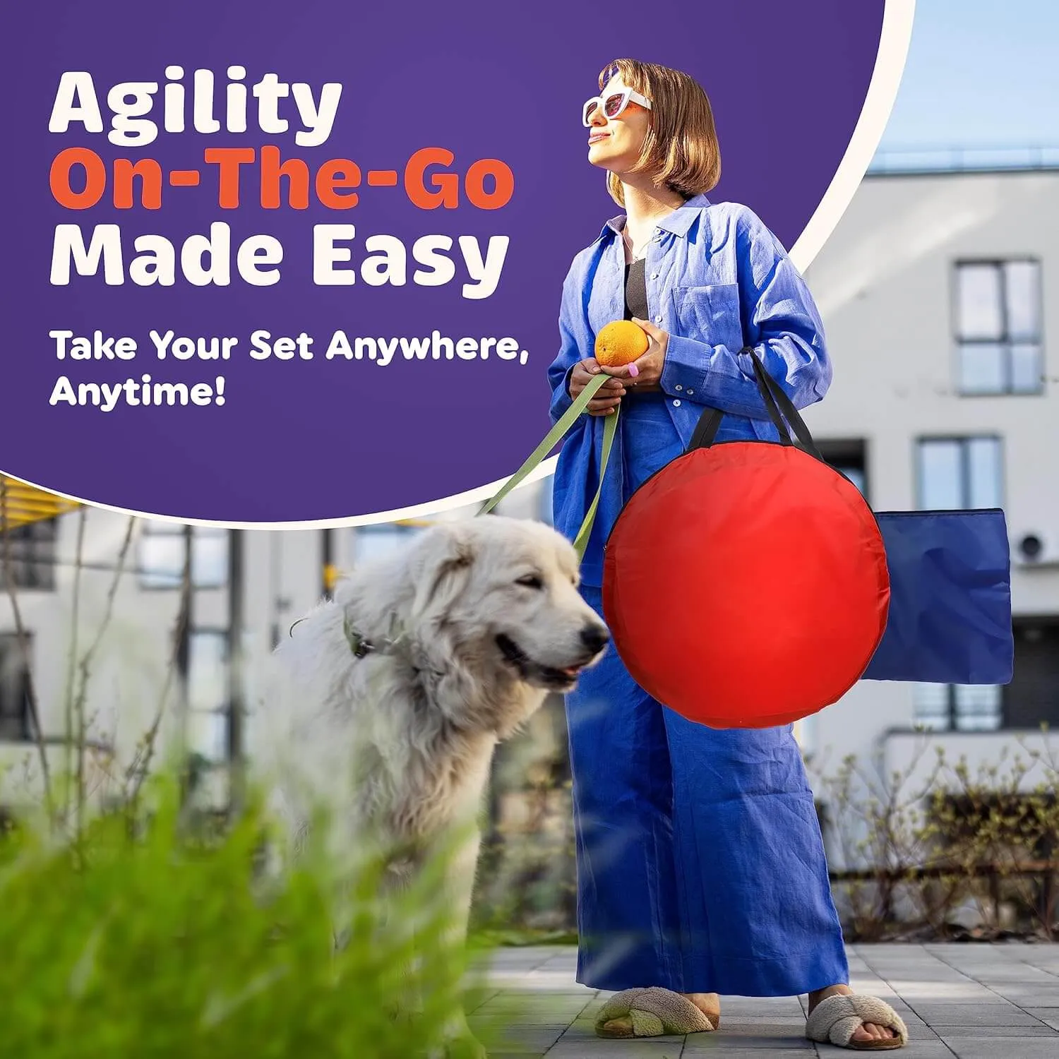 15 Piece Dog Agility Course Backyard Set