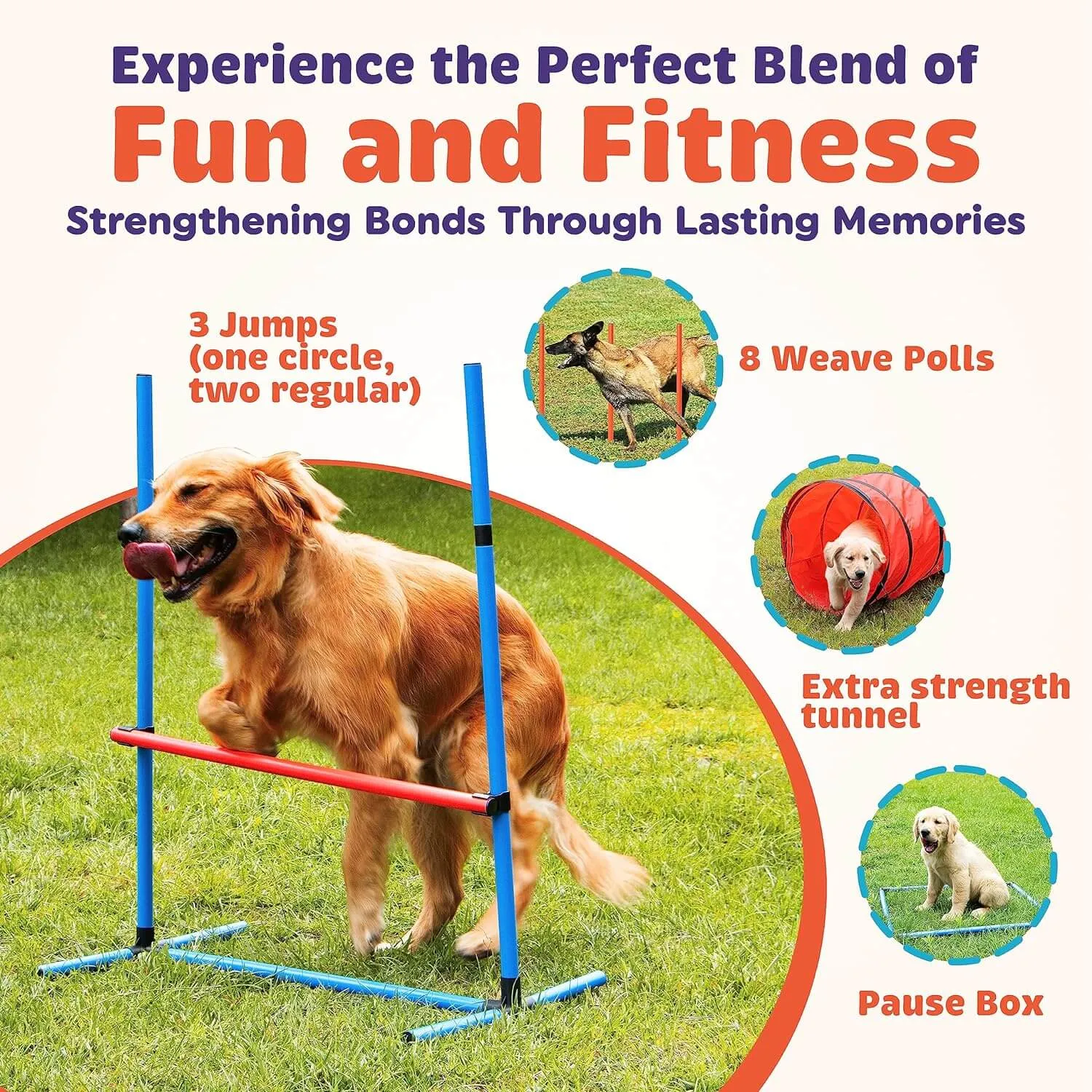 15 Piece Dog Agility Course Backyard Set