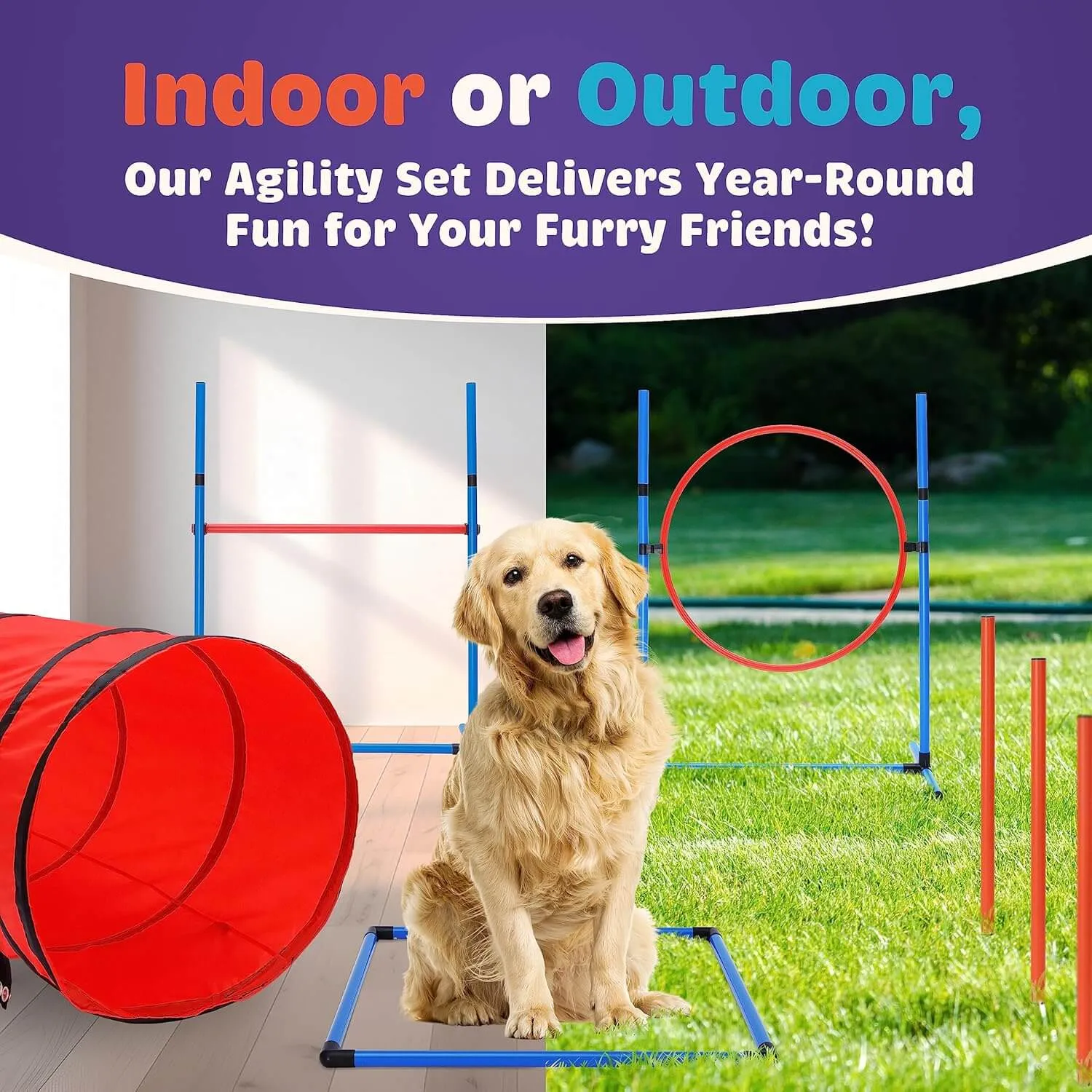 15 Piece Dog Agility Course Backyard Set