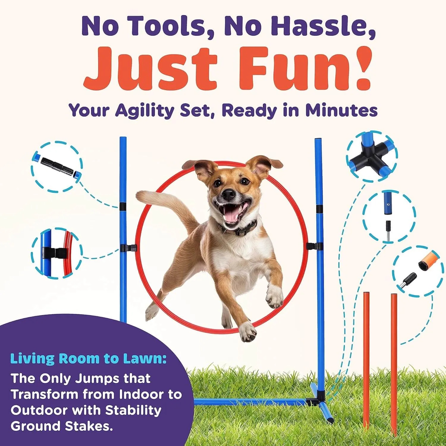 15 Piece Dog Agility Course Backyard Set