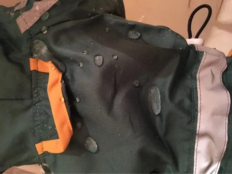 Cute Dog Hoodie Raincoat