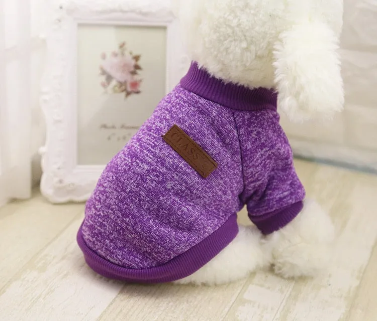Dog Classic Winter Sweater by Dach Everywhere