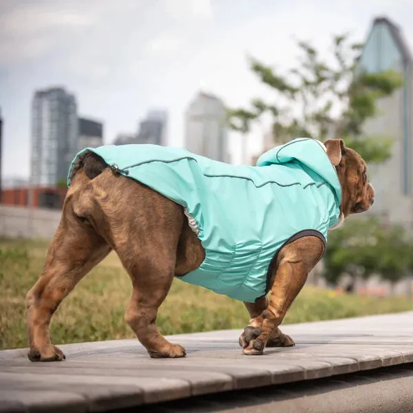 Dog Rain Coat - Reversible Aqua Blue and Iridescent