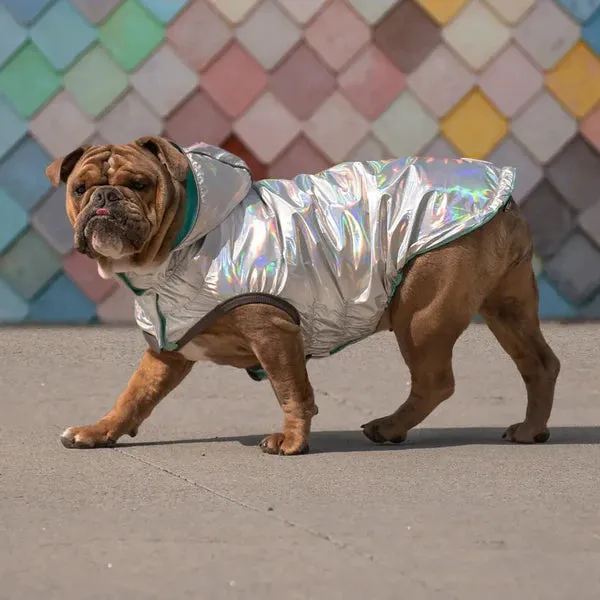 Dog Rain Coat - Reversible Aqua Blue and Iridescent
