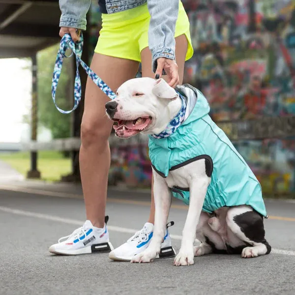 Dog Rain Coat - Reversible Aqua Blue and Iridescent