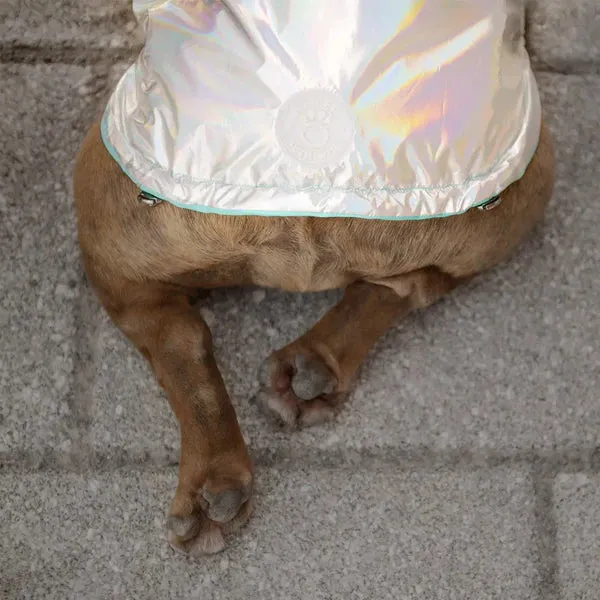 Dog Rain Coat - Reversible Aqua Blue and Iridescent
