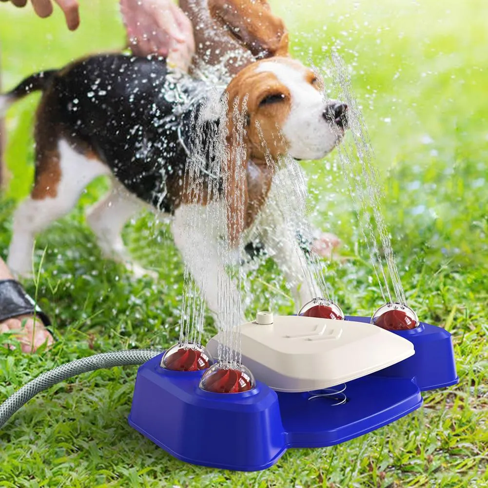 Dog Water Fountain
