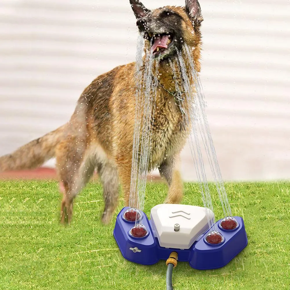 Dog Water Fountain