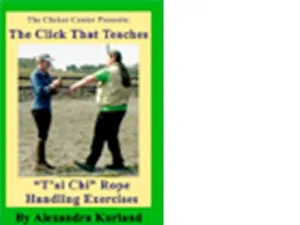 DVD: Lesson 7: T'ai Chi Rope Handling Exercises Now an On-line Mini Course