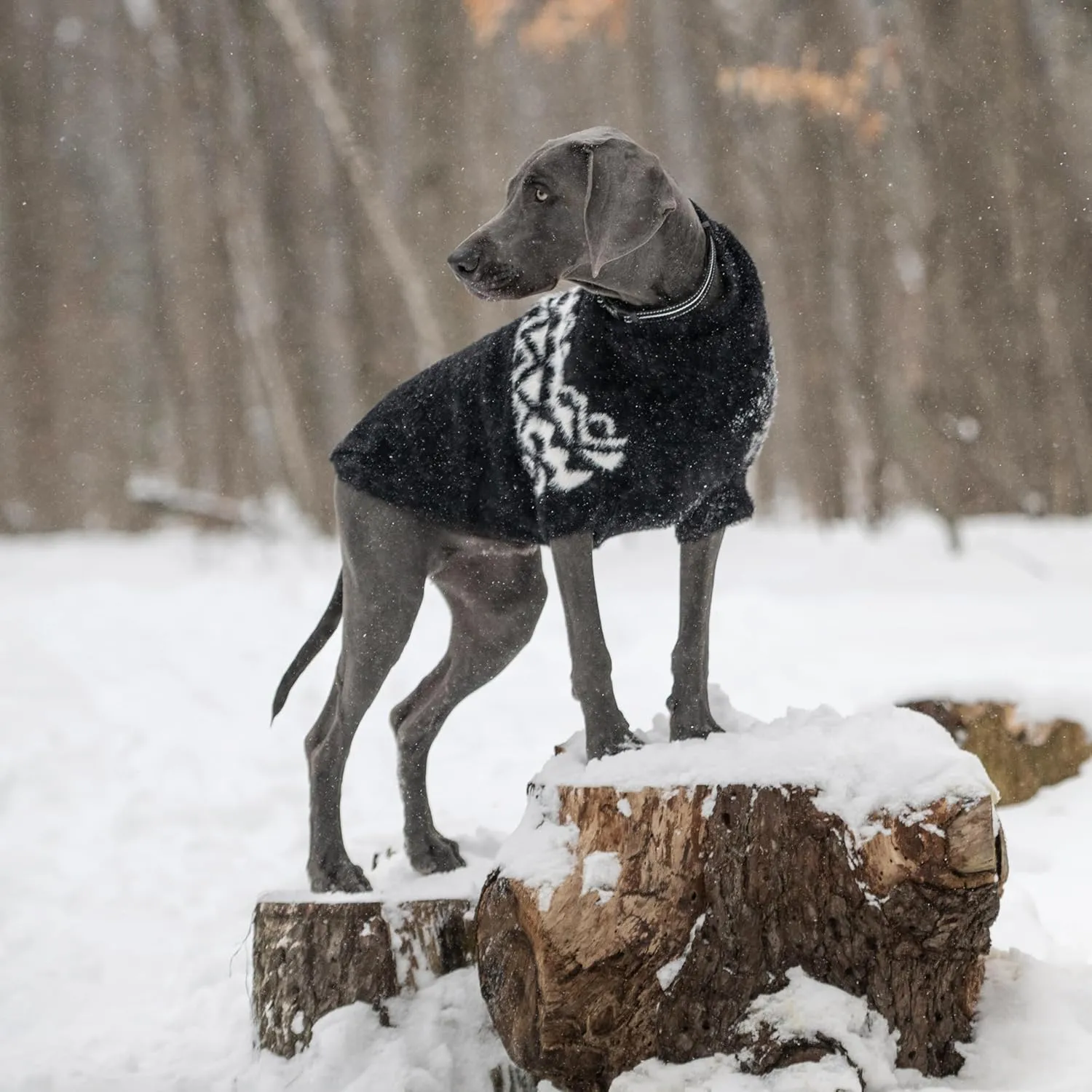 Fuzzy Dog Sweater - Cozy & Soft Knit Sweater for Dogs - Warm Winter Dog Pullover - Stylish & Comfortable - X-Large, Black