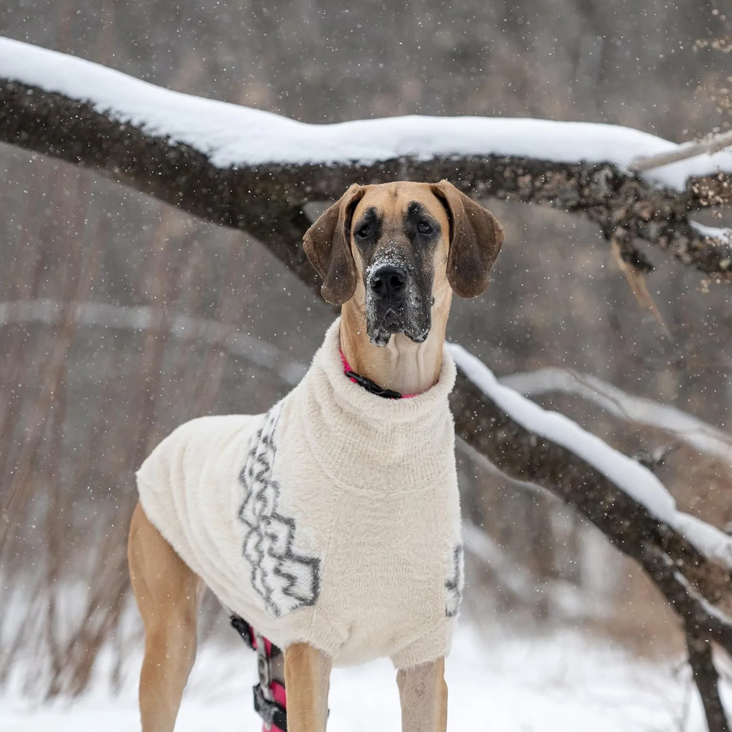 Fuzzy Dog Sweater | Sand X-Large