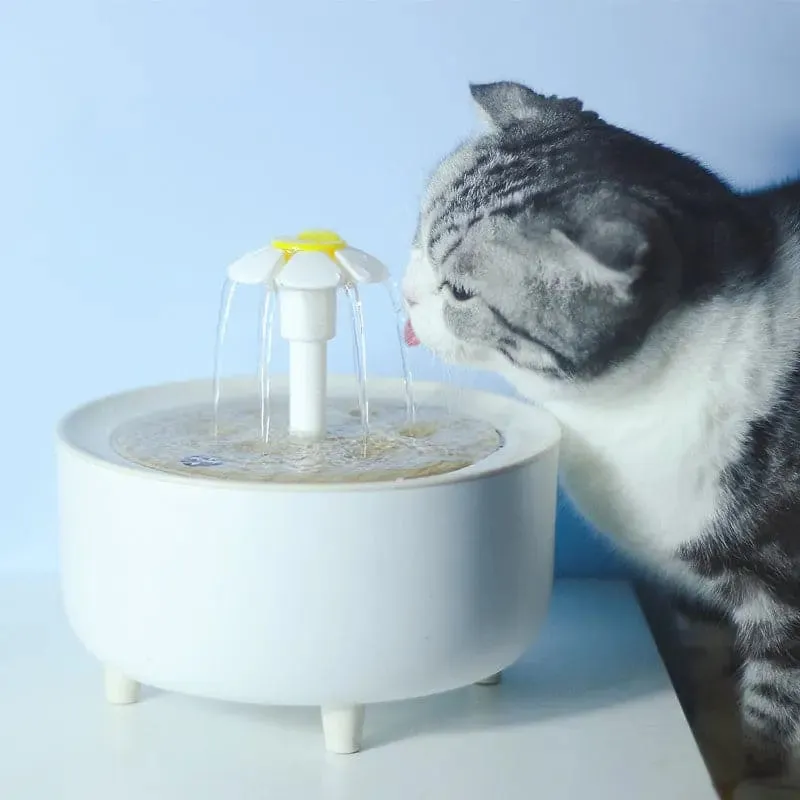 Intelligent Automatic Circulation Filter Pet Water Dispenser