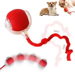 Interactive Rolling Ball, 2025 Upgraded Version - Automatic Dog & Cat Toy, 360 Intelligent Rolling Ball (Red)