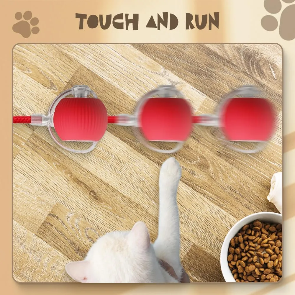 Interactive Rolling Ball, 2025 Upgraded Version - Automatic Dog & Cat Toy, 360 Intelligent Rolling Ball (Red)