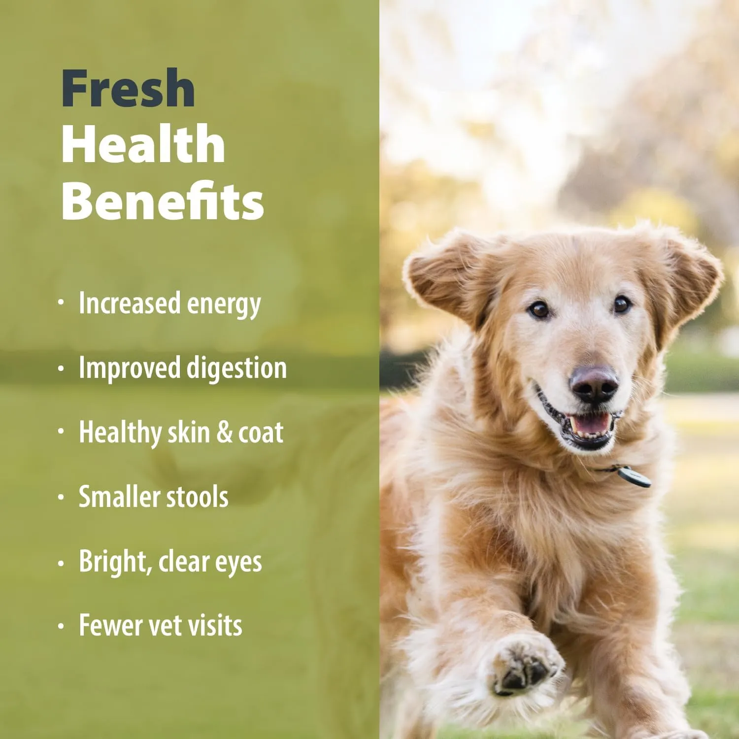 JustFoodForDogs Frozen Fresh Dog Food for Sensitive Stomachs, Complete Meal or Dog Food Topper, Balanced Remedy Human Grade Dog Food, 18 oz (Pack of 21)