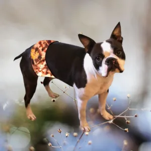 Male Dog Belly Band Wrap -Tie Dye  Brown Style #1