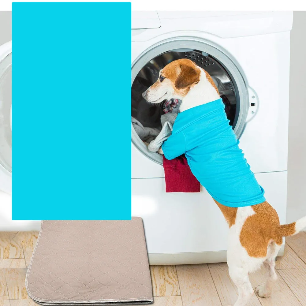 NNEDPE 2pcs Waterproof Washable Training Pee Pads -xl