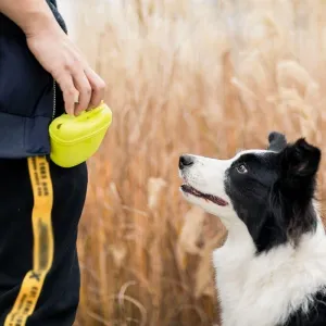 Pet Portable Dog Training Waist Bag - Convenient Treat and Snack Storage for Obedience, Agility, and Outdoor Activities