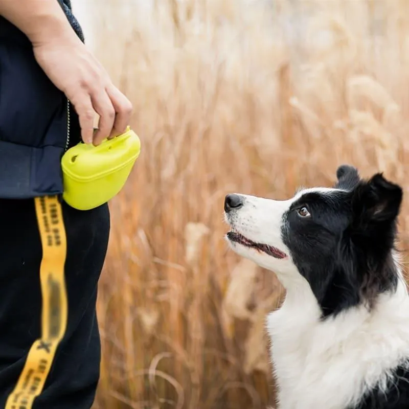 Pet Portable Dog Training Waist Bag - Convenient Treat and Snack Storage for Obedience, Agility, and Outdoor Activities