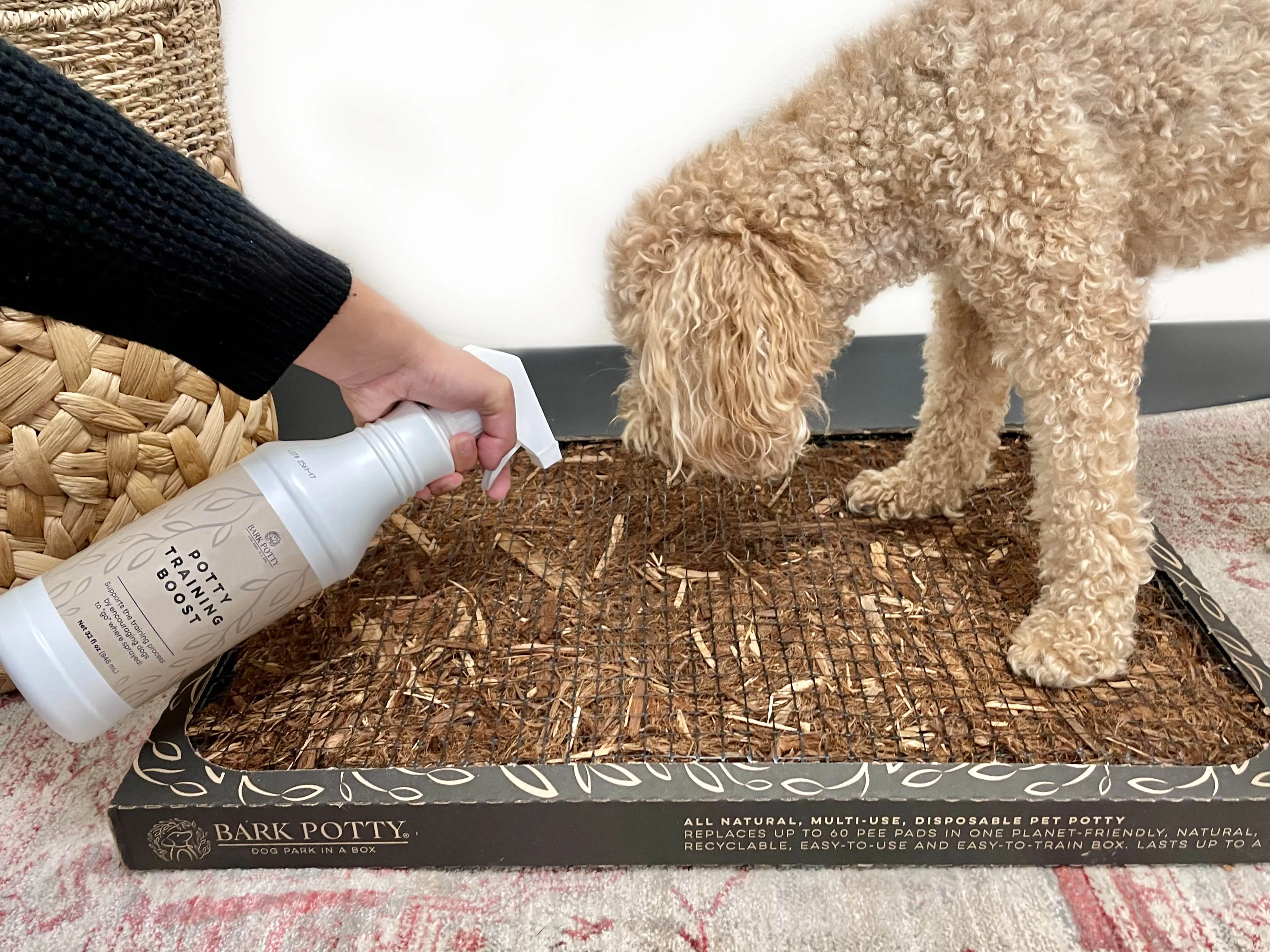 Potty Training Boost Spray