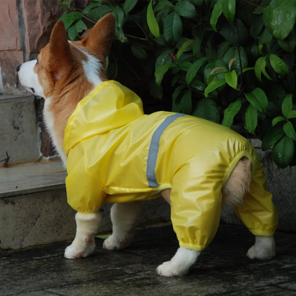 Small Do Raincoat