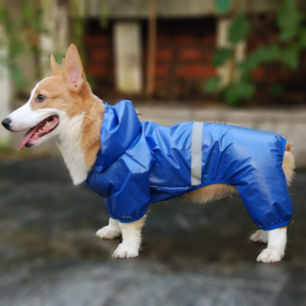 Small Do Raincoat