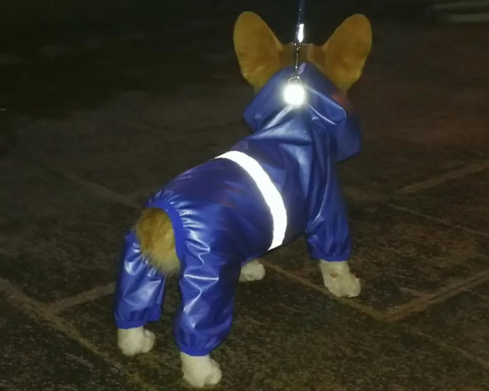 Small Do Raincoat