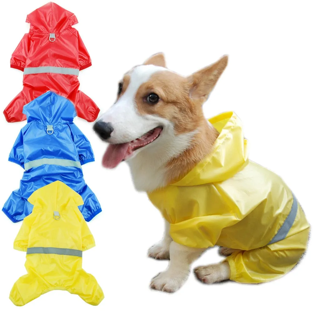Small Do Raincoat