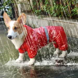Small Do Raincoat