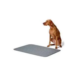 The Snooza Washable Reusable Pee Pad 2 Pack Large-