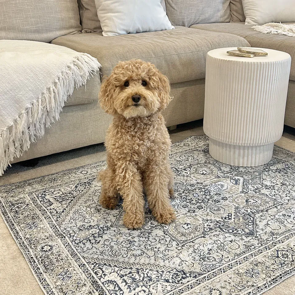 Washable Pet Mat